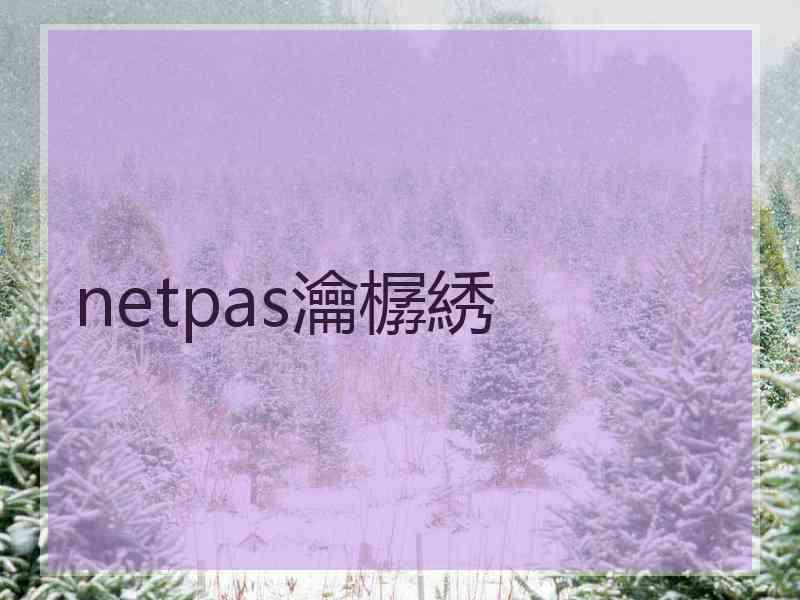 netpas瀹樼綉