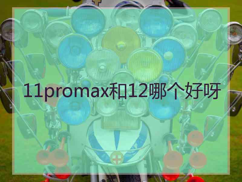 11promax和12哪个好呀