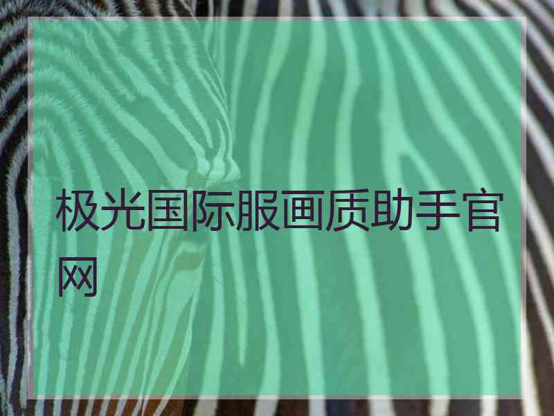 极光国际服画质助手官网