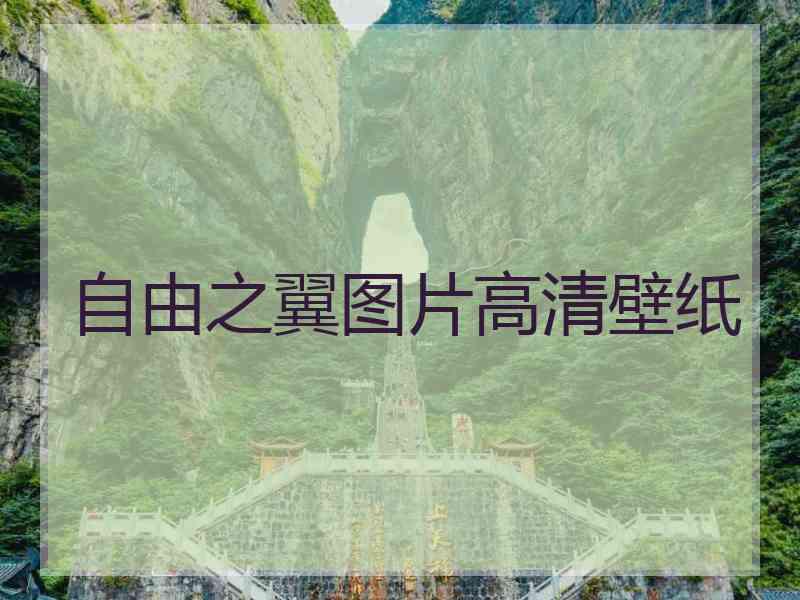 自由之翼图片高清壁纸