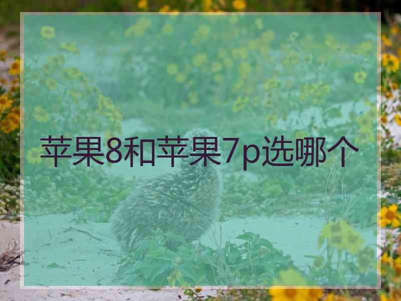 苹果8和苹果7p选哪个