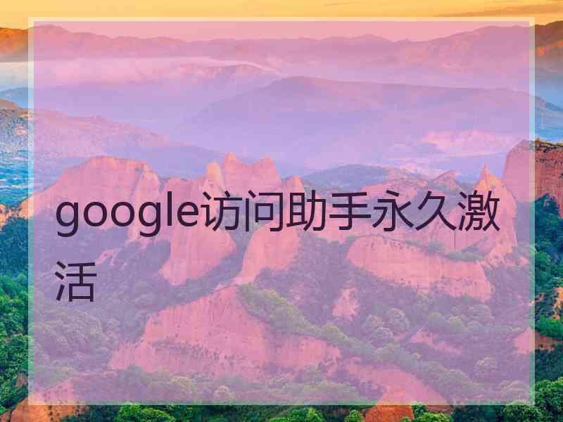 google访问助手永久激活