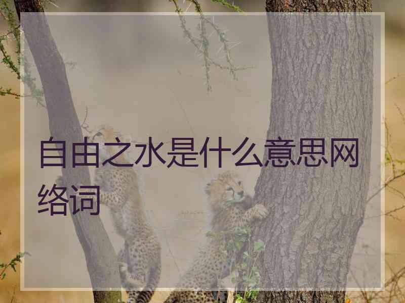 自由之水是什么意思网络词