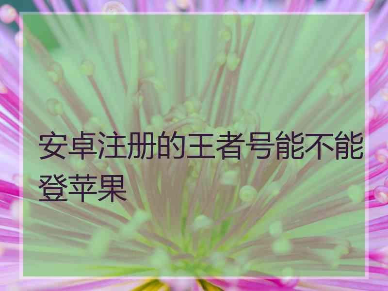 安卓注册的王者号能不能登苹果