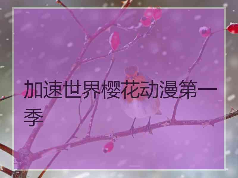 加速世界樱花动漫第一季