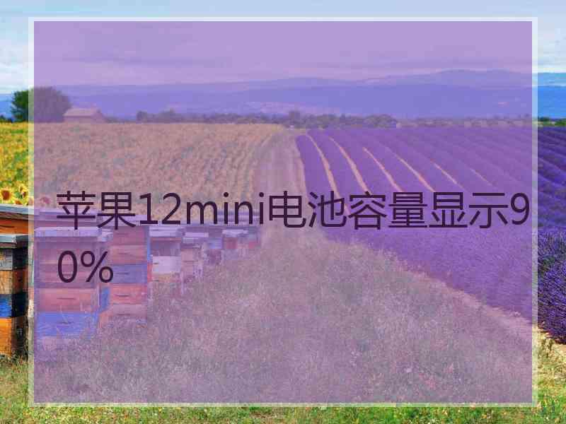 苹果12mini电池容量显示90%