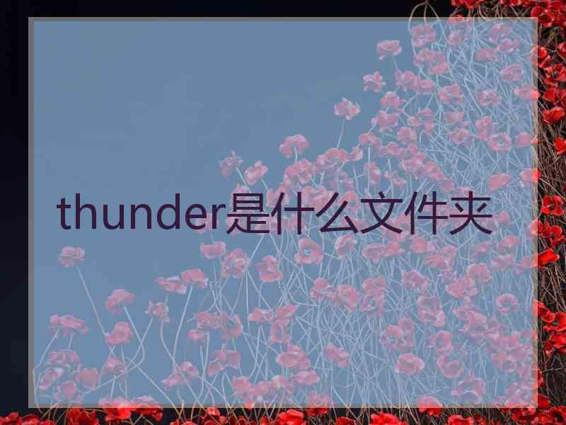 thunder是什么文件夹