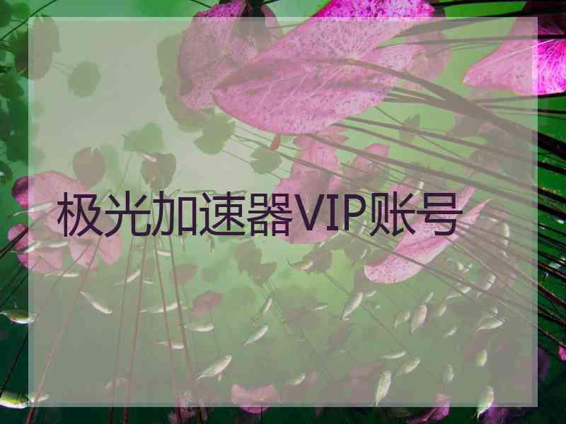 极光加速器VIP账号