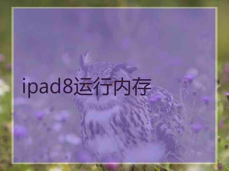 ipad8运行内存