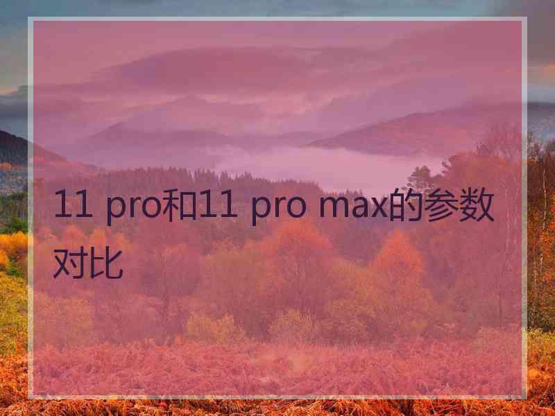 11 pro和11 pro max的参数对比