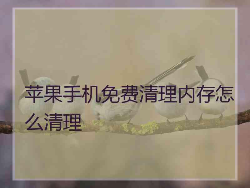 苹果手机免费清理内存怎么清理