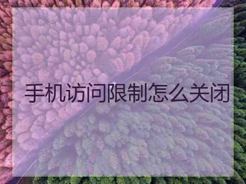 手机访问限制怎么关闭