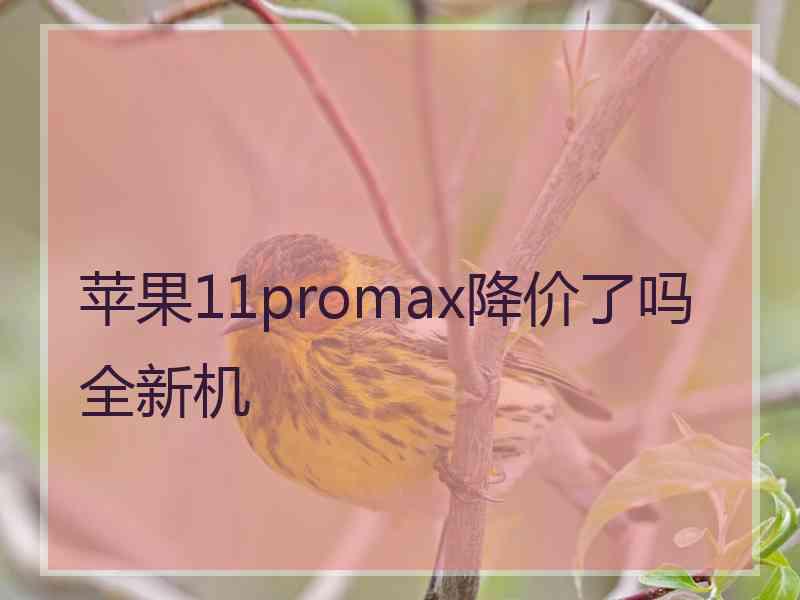 苹果11promax降价了吗全新机