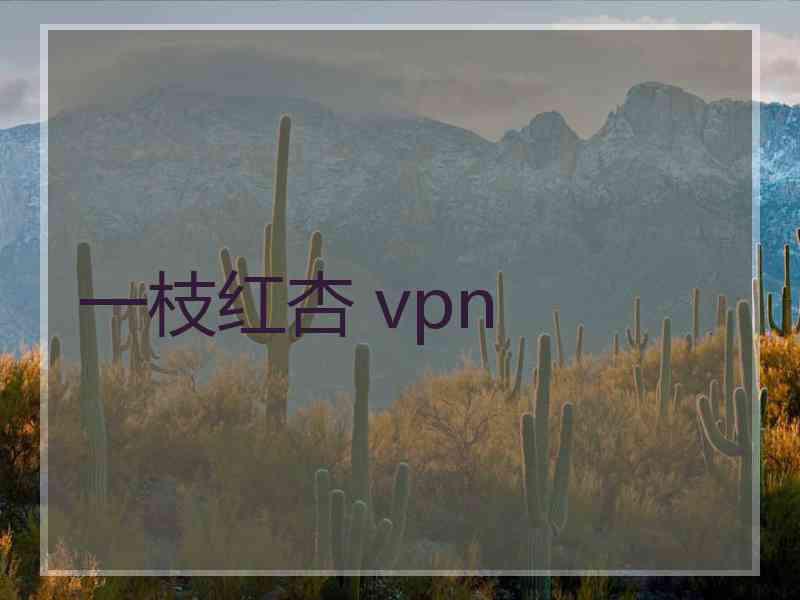 一枝红杏 vpn