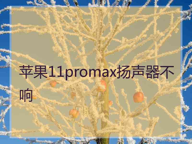 苹果11promax扬声器不响