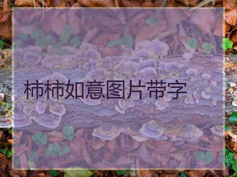 柿柿如意图片带字