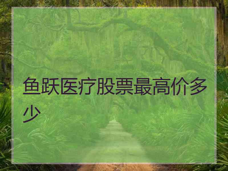 鱼跃医疗股票最高价多少