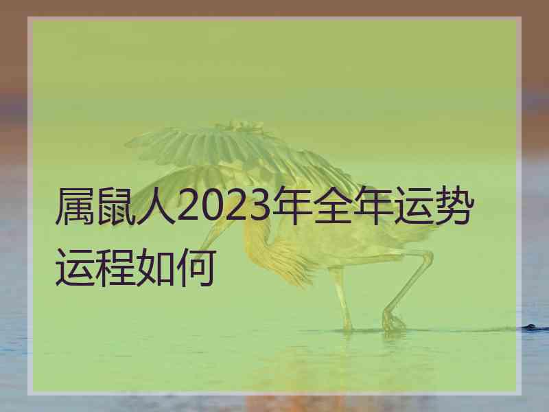 属鼠人2023年全年运势运程如何