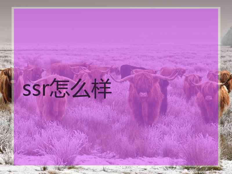 ssr怎么样