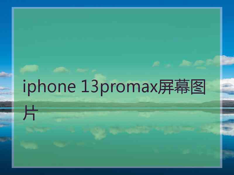 iphone 13promax屏幕图片