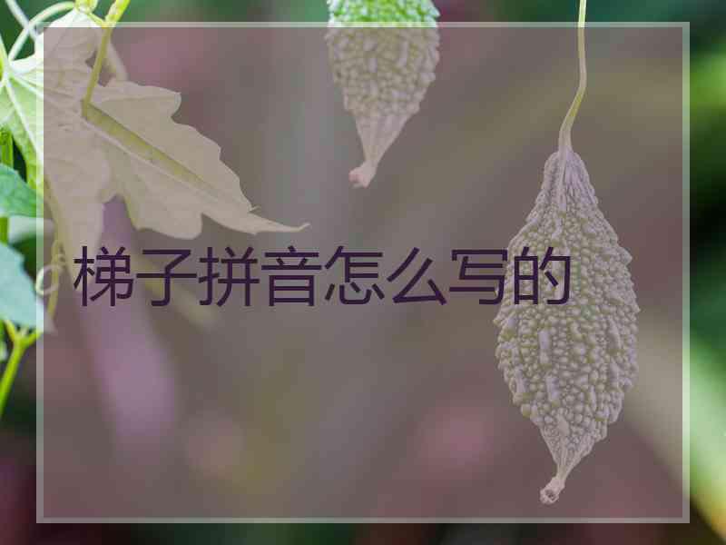 梯子拼音怎么写的