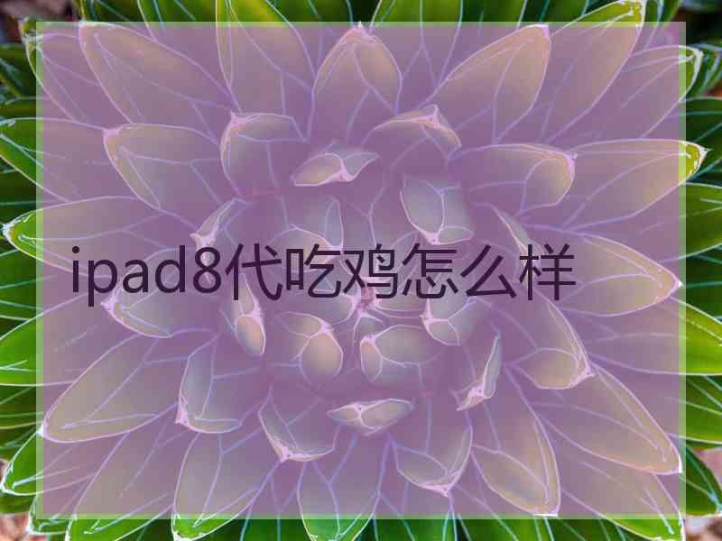 ipad8代吃鸡怎么样