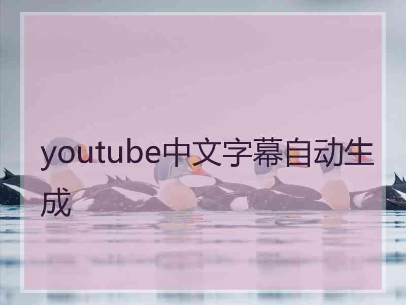 youtube中文字幕自动生成