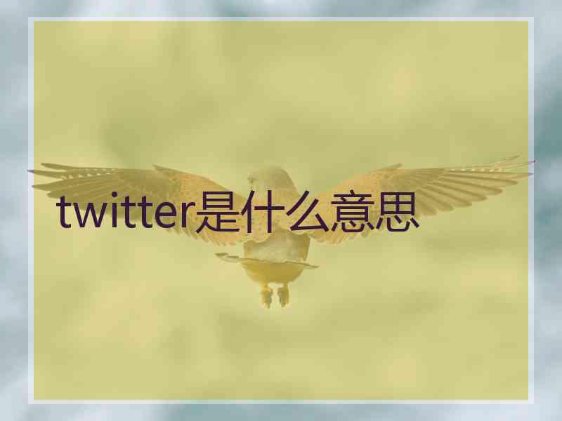 twitter是什么意思