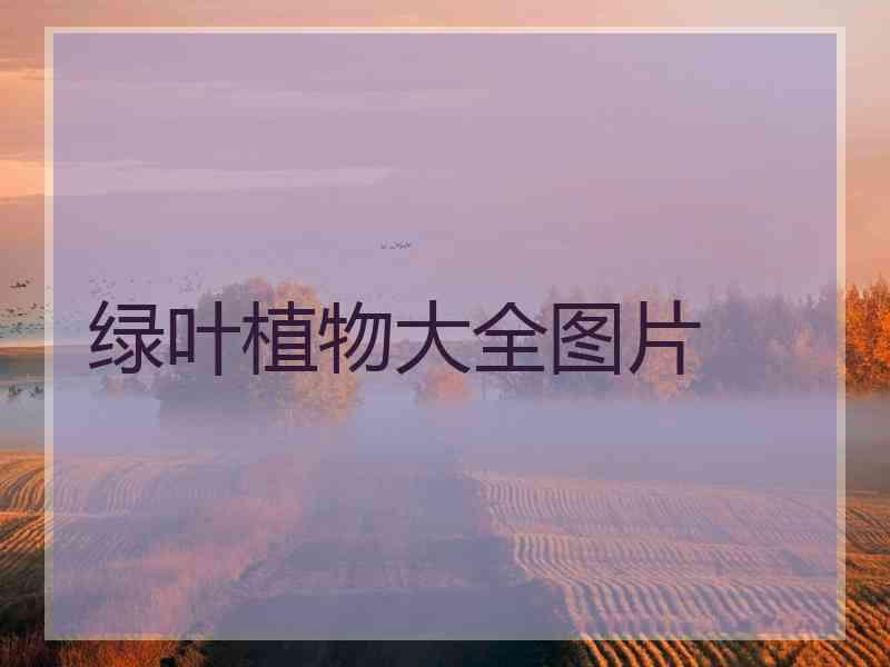 绿叶植物大全图片