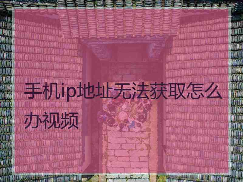 手机ip地址无法获取怎么办视频