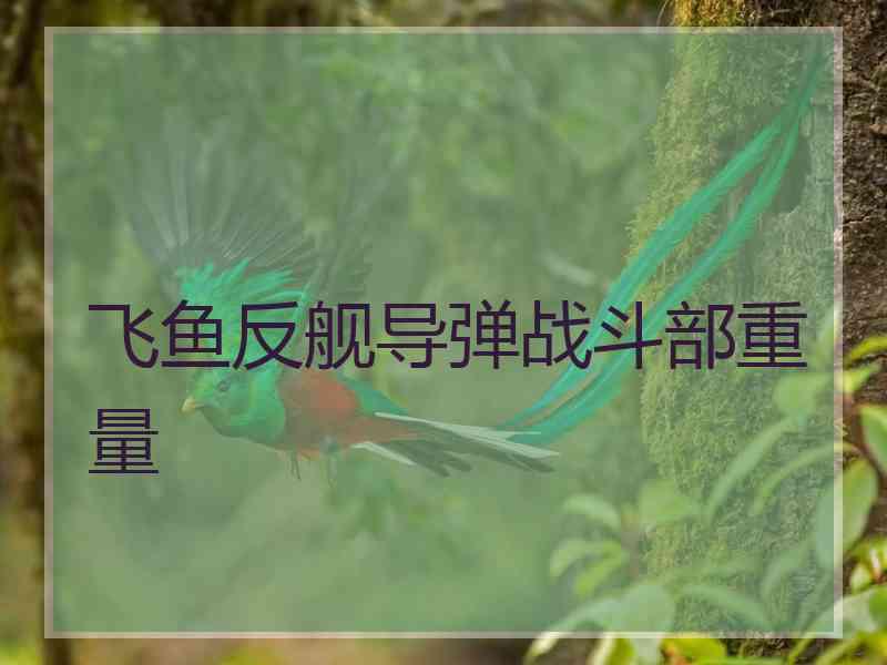 飞鱼反舰导弹战斗部重量