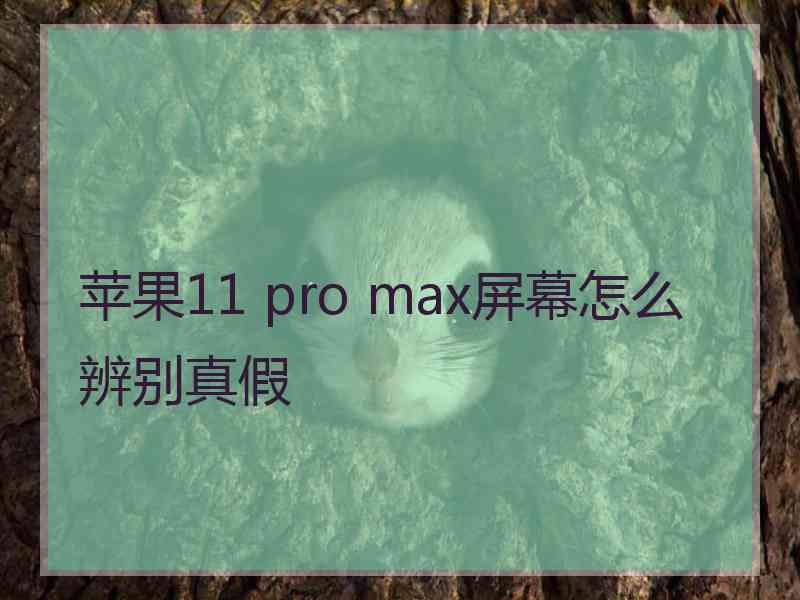 苹果11 pro max屏幕怎么辨别真假