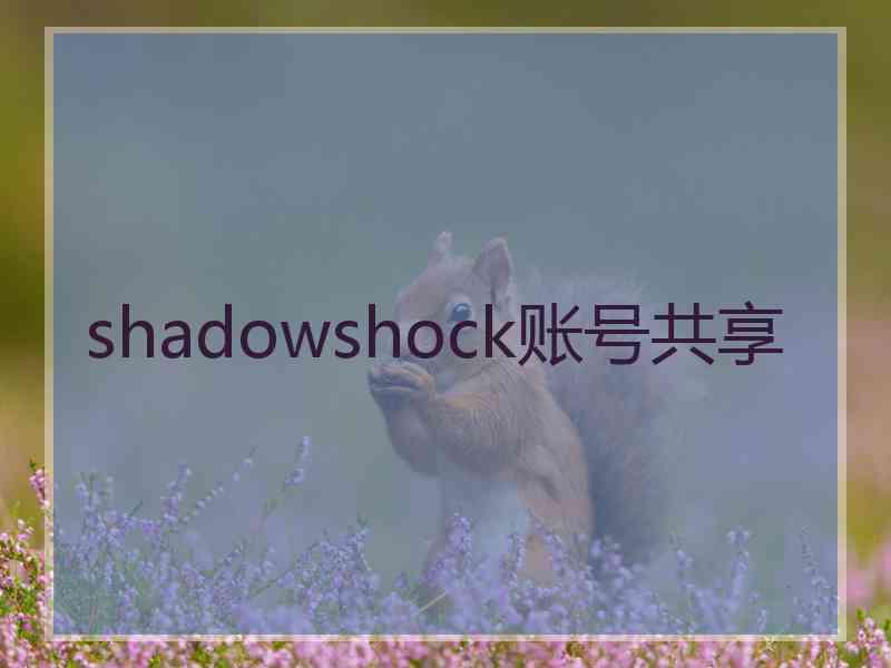 shadowshock账号共享