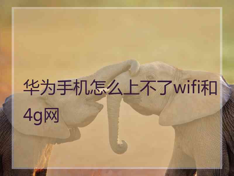 华为手机怎么上不了wifi和4g网