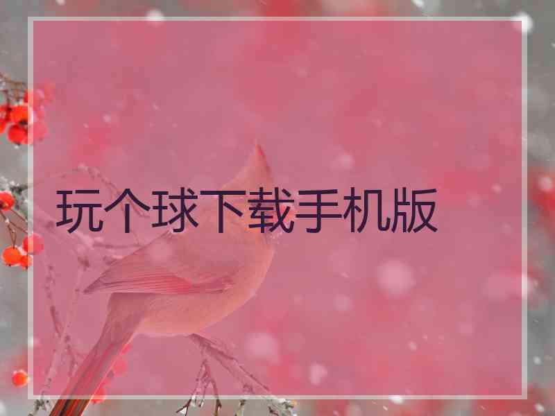 玩个球下载手机版