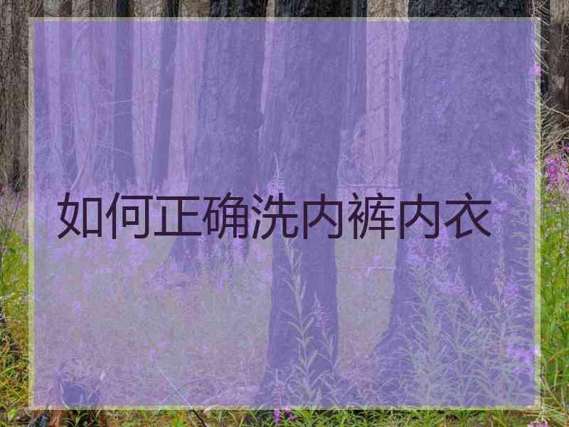 如何正确洗内裤内衣