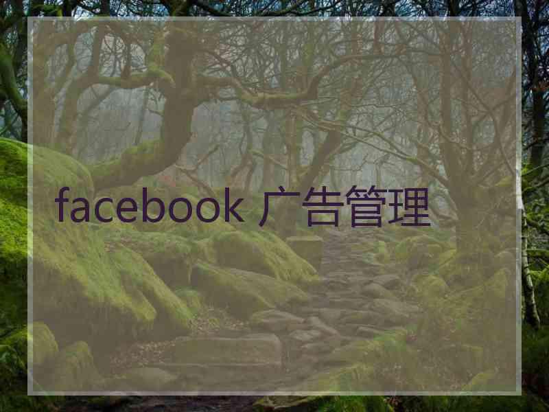 facebook 广告管理