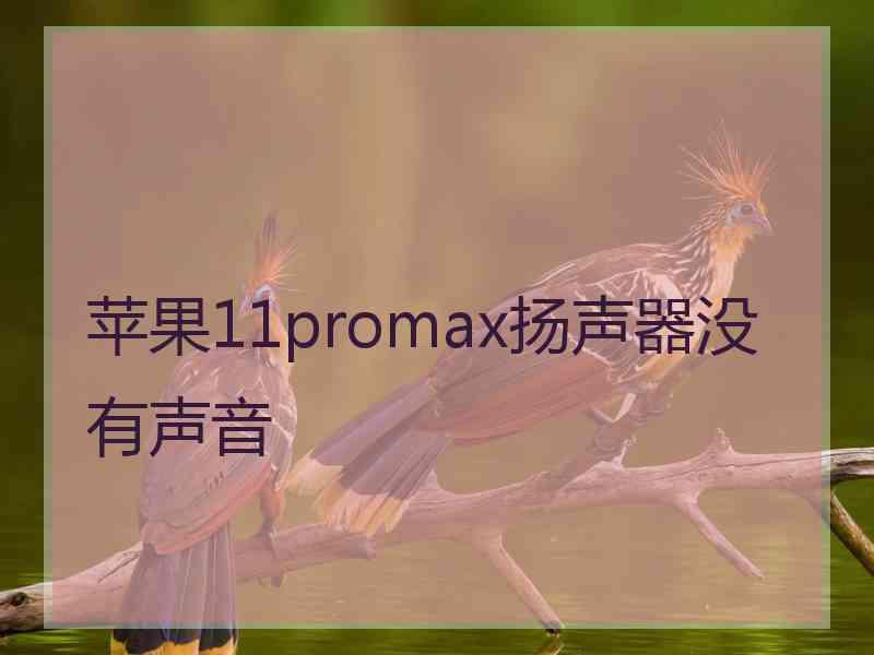 苹果11promax扬声器没有声音