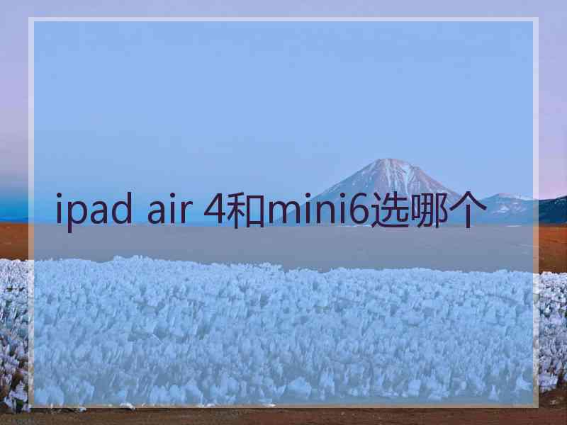 ipad air 4和mini6选哪个