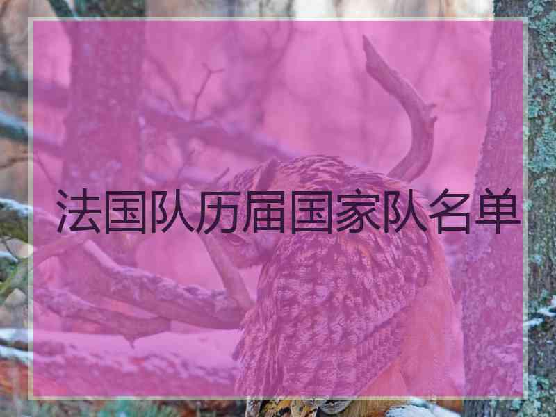 法国队历届国家队名单