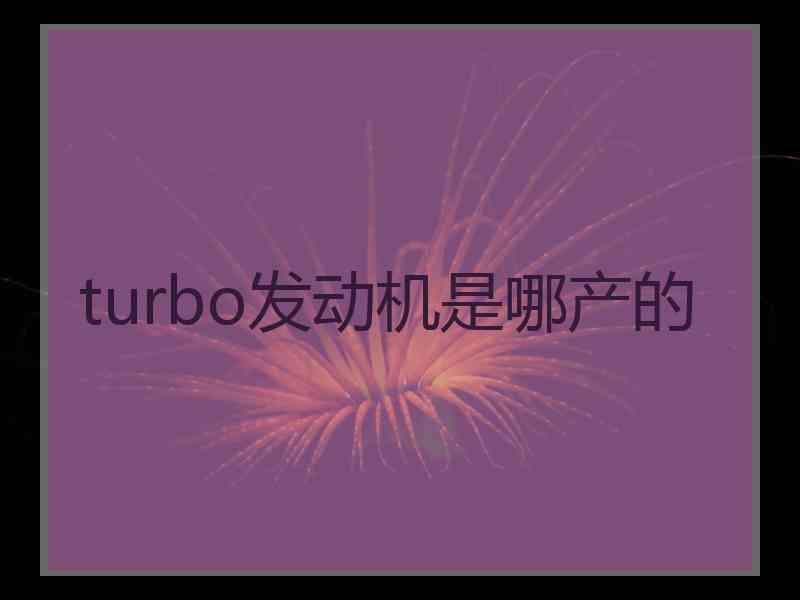 turbo发动机是哪产的