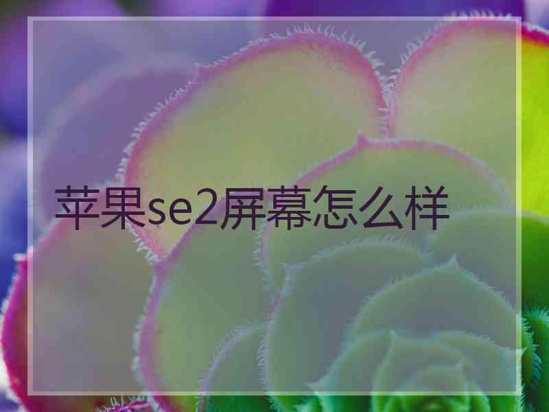 苹果se2屏幕怎么样