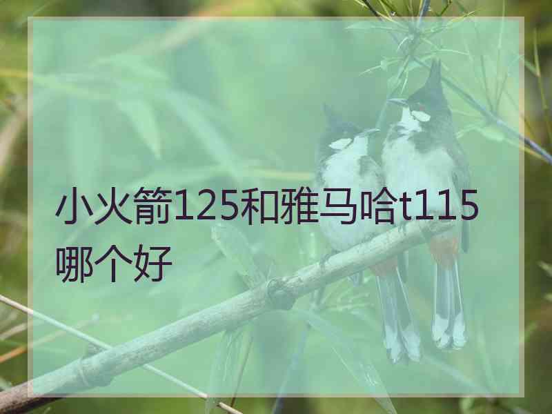 小火箭125和雅马哈t115哪个好