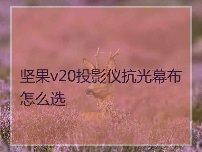 坚果v20投影仪抗光幕布怎么选