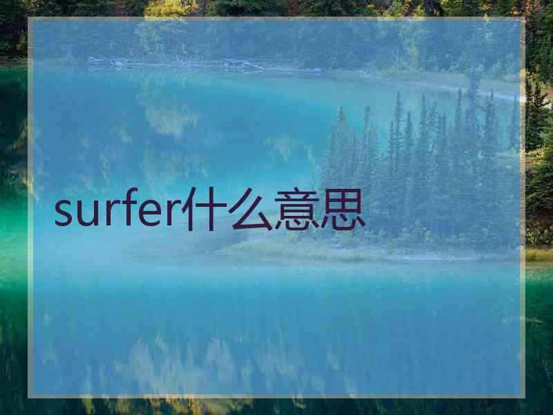 surfer什么意思