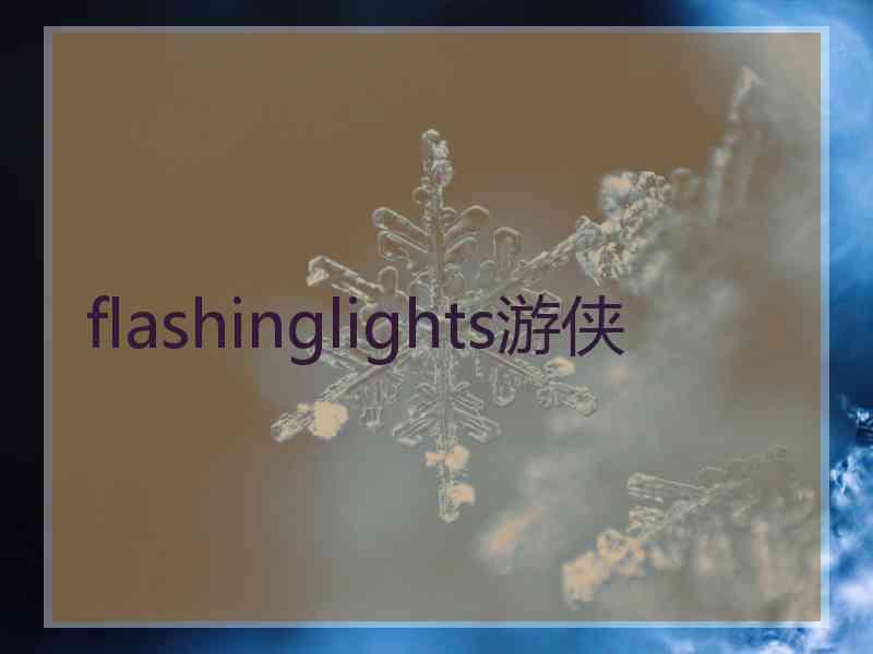 flashinglights游侠