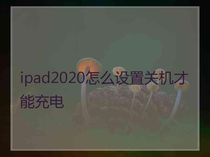 ipad2020怎么设置关机才能充电