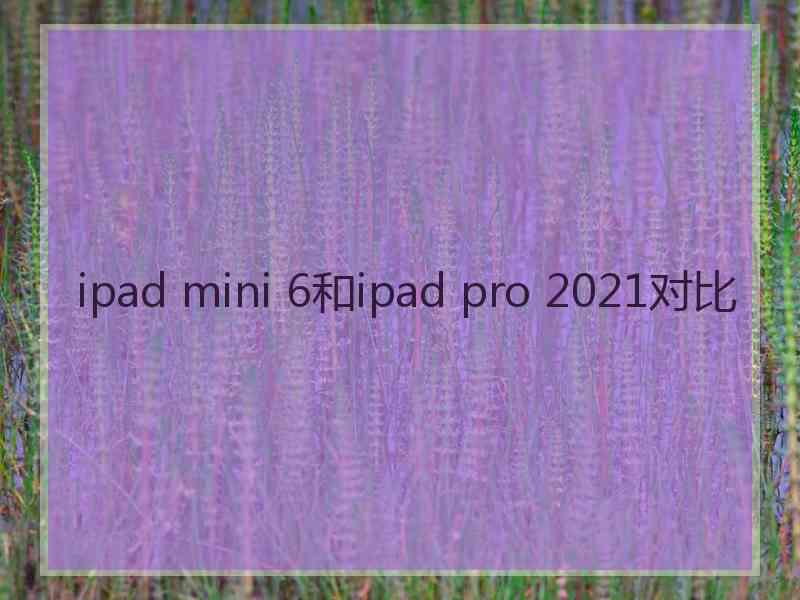 ipad mini 6和ipad pro 2021对比