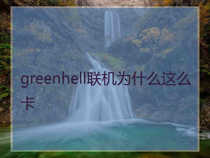 greenhell联机为什么这么卡