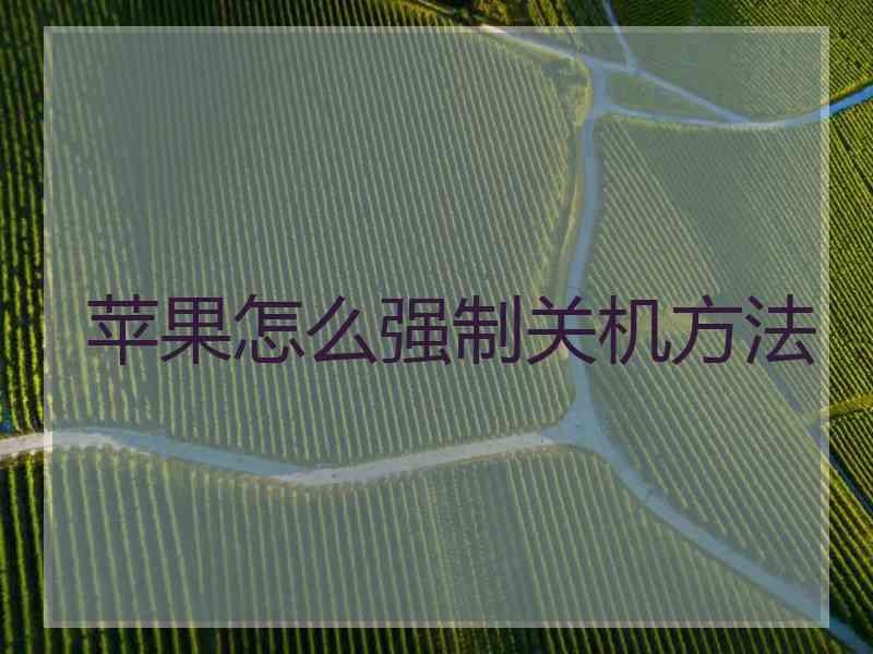 苹果怎么强制关机方法